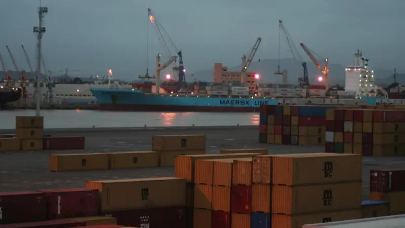 IMG_2616_An_MSC_vessel_berthed_at_Portonave_Brazil,_S.Ams_newest_box_terminal_and_cause_celebre_PIC_by_Rob_Ward.JPG