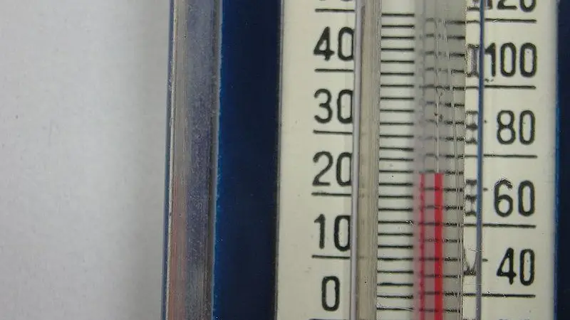 Port Strategy: MOL has improved cold container monitoring. Credit: Luis Miguel Orta Rial