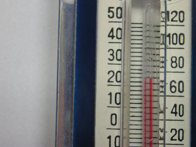 Port Strategy: MOL has improved cold container monitoring. Credit: Luis Miguel Orta Rial