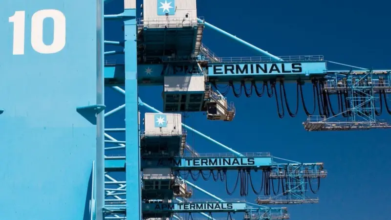 Port Strategy: APM Terminals managed to increase profits when lines were suffering