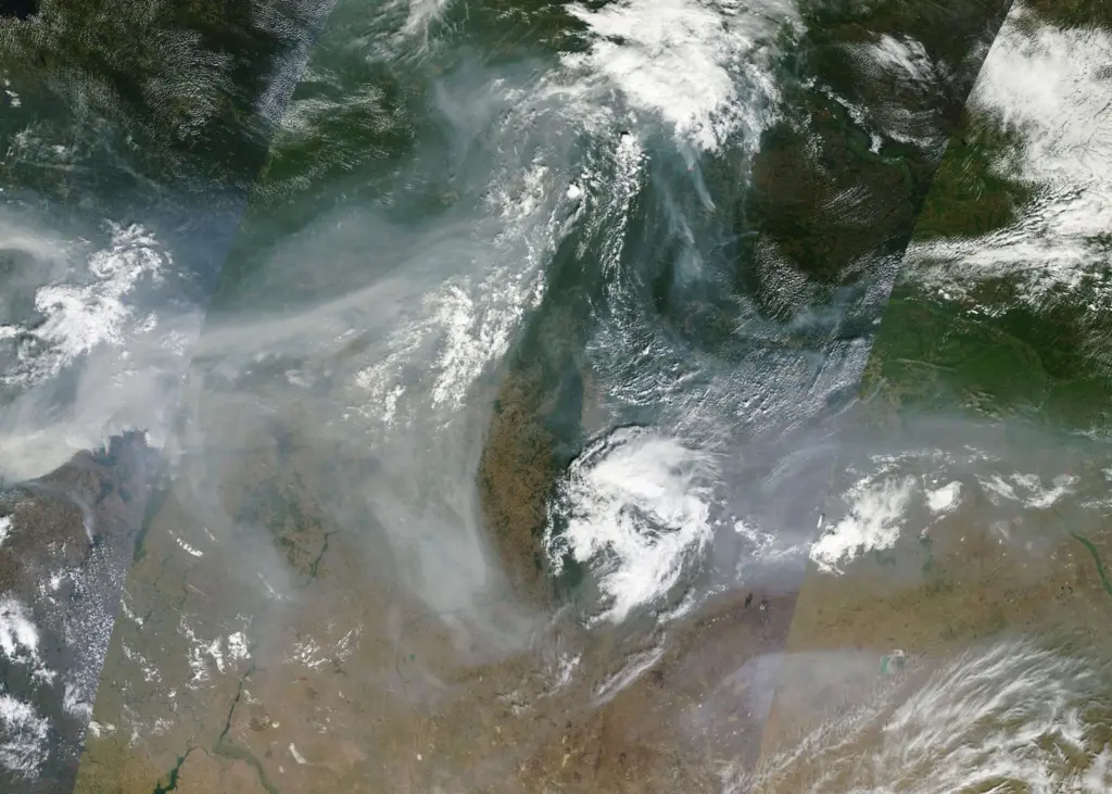 An arial view of fires burning across Russia. Photo: NASA