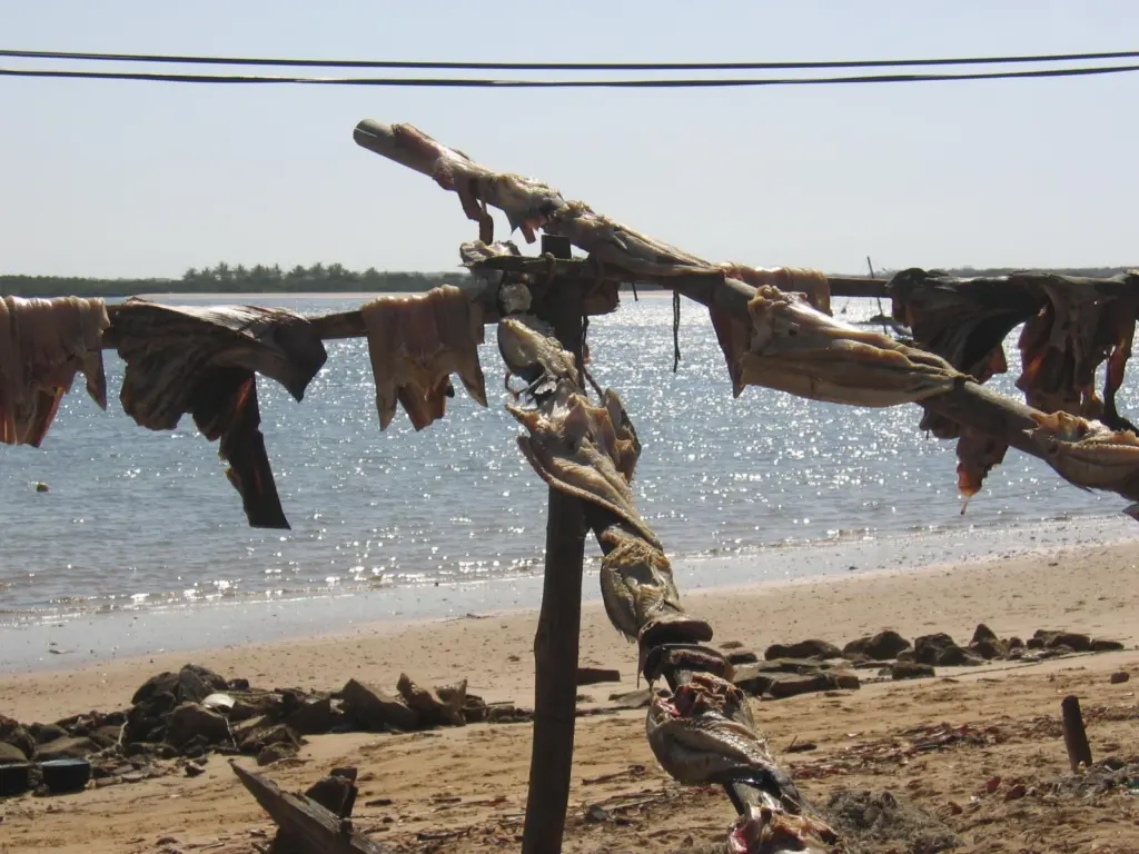 Places like Lamu depend on their marine environment. Photo: Karl R Gjertsen.