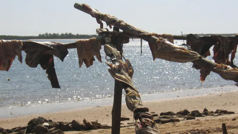 Places like Lamu depend on their marine environment. Photo: Karl R Gjertsen.