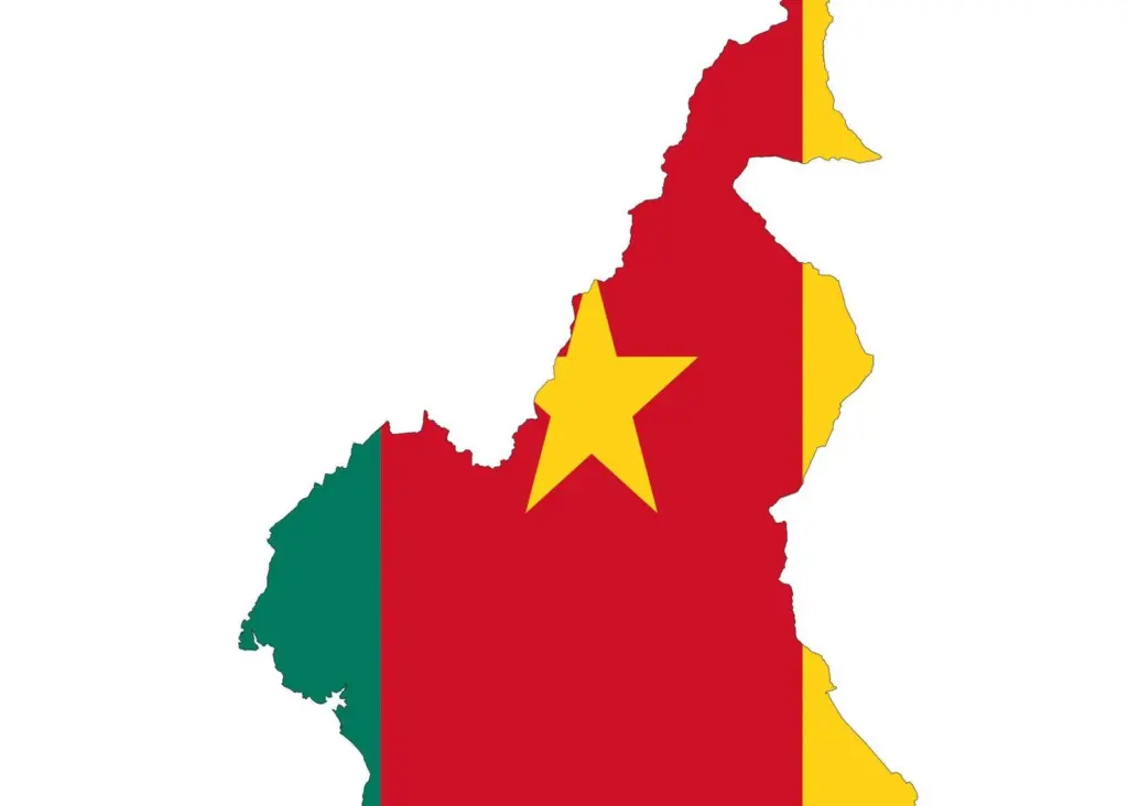 Cameroon will use China's loan to fund deep sea port expansion
