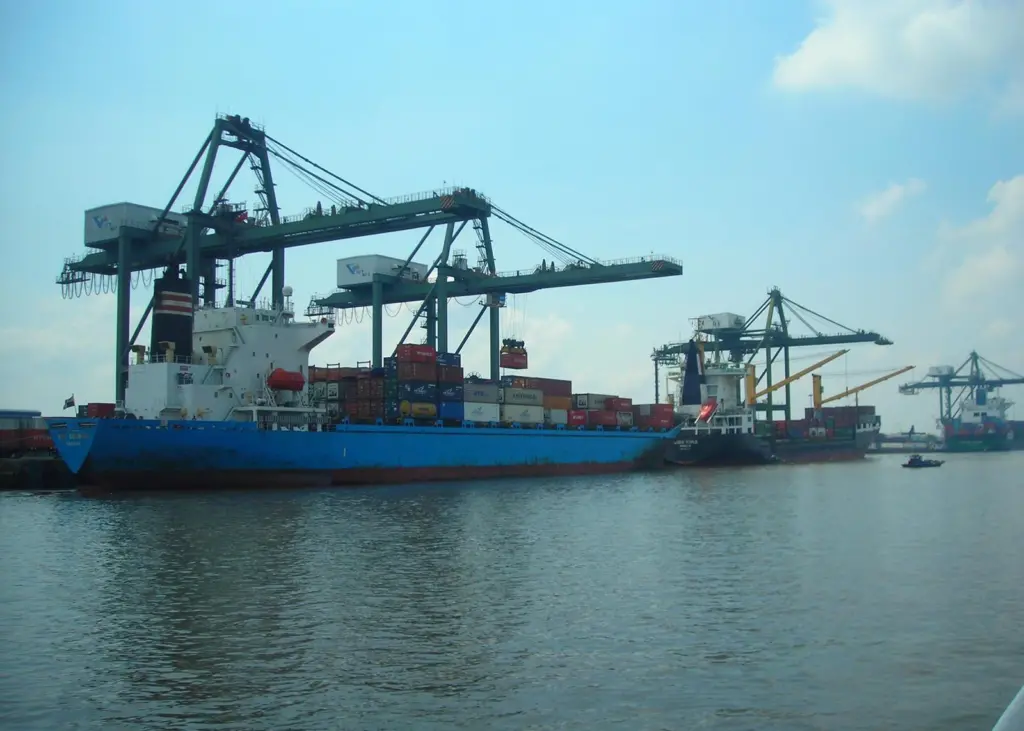 Port Strategy: Ho Chi Minh City port clusters are said to be at risk of emissions-related health problems