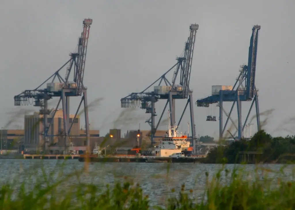 Galveston is the latest in a string of US ports to consider a public-private partnership. Credit - Nsaum75