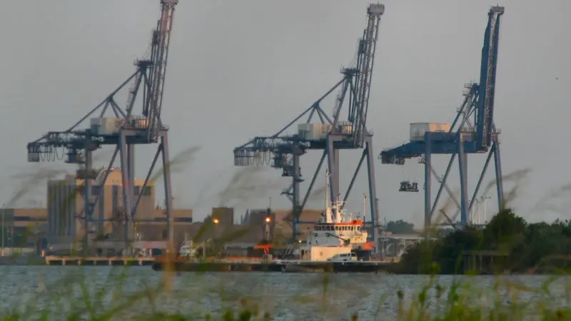 Galveston is the latest in a string of US ports to consider a public-private partnership. Credit - Nsaum75