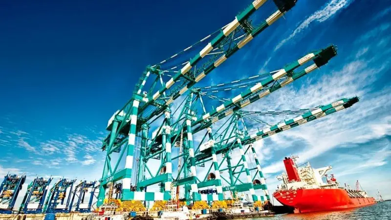 Position technology-led improved efficiencies and better handling accuracy have allowed PTP's RTG operators to handle more containers