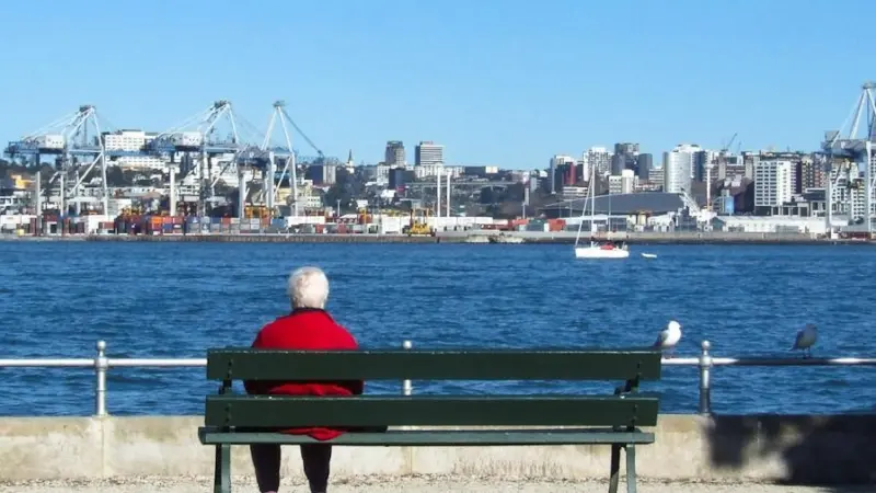 Port Strategy: Auckland believes that local body ownership helps secure bank support. Credit: QFSE Media