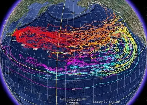 NOAA’s predicted trajectories for the debris field - the red zone may be affected this year. Photo: Courtesy of J. Churnside, NOAA; created using Google.