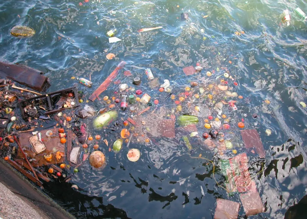 Oz is tackling waste at sea with new regs