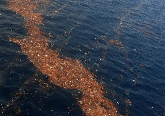 Tsunami marine debris is set to reach Hawaii this winter
