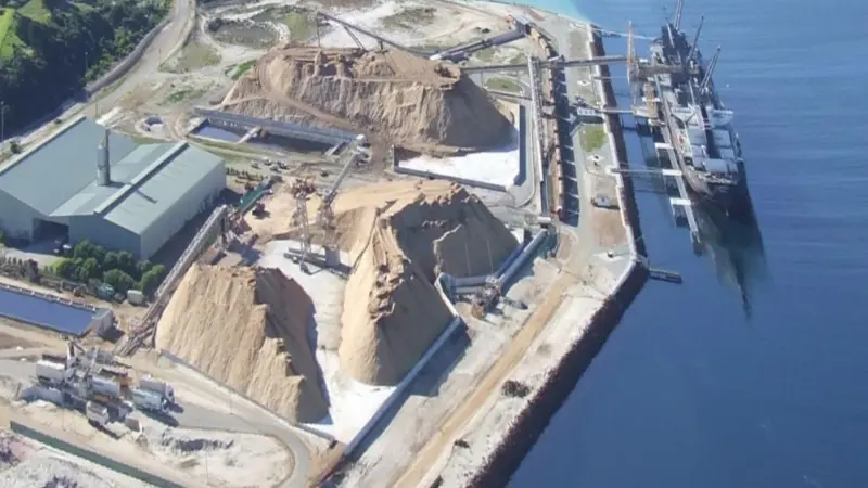 The Port Albany expansion is being led by the Southdown Magnetite Project