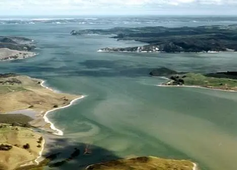Crest wants to make waves in renewables