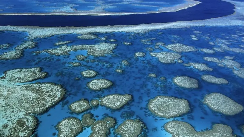 The Great Barrier Reef may be at risk from theOz shipping boom