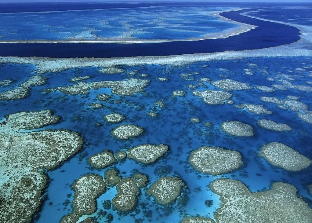 The Great Barrier Reef may be at risk from theOz shipping boom