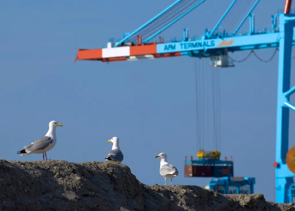 APM Terminals Zeebrugge, Belgium