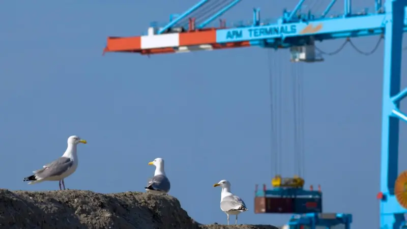 APM Terminals Zeebrugge, Belgium