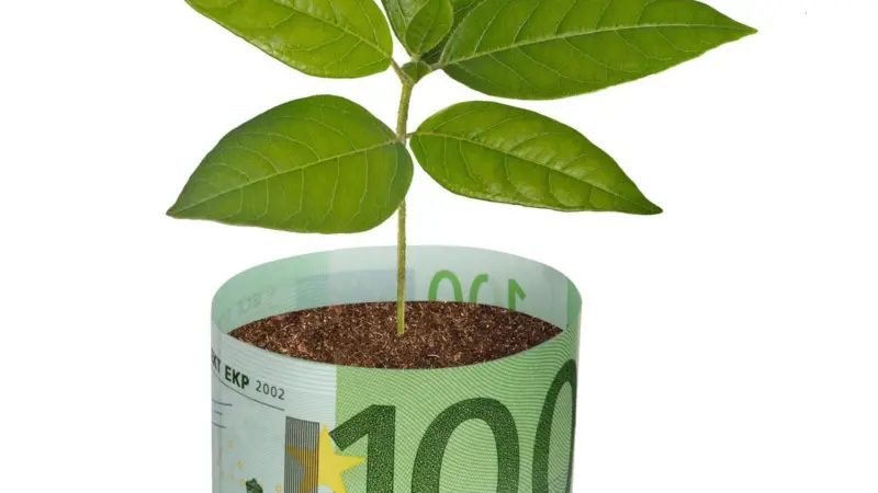 Is everyone signed up to the green agenda - really?