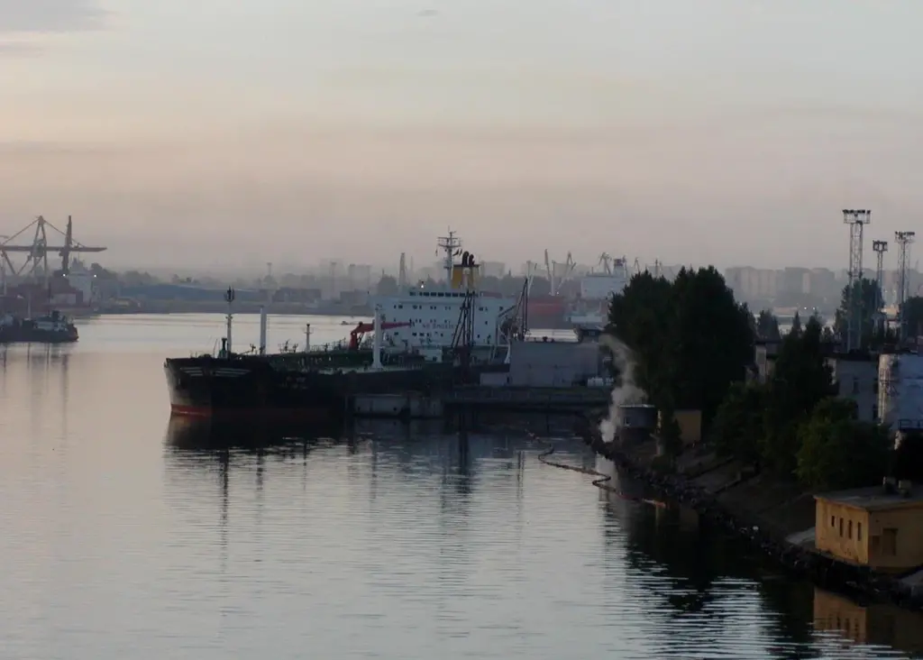 St Petersburg is the main gateway for Russian containerised cargo. Photo: Stan Shebs