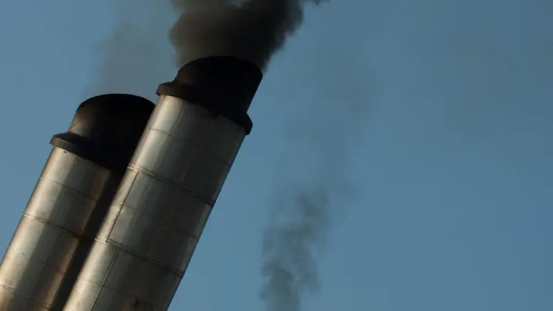 New Mangalore Port has implemented a number of initiatives to combat pollution in and around the port area