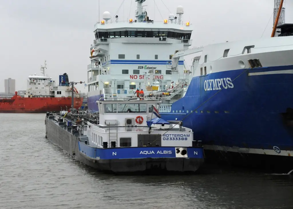 The 'Olympus' came top of the ESI rating at Rotterdam and fourth globally last year