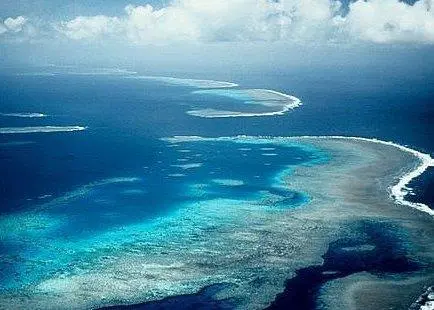 Millions of cubic metres of dredged material is to be dumped near the Great Barrier Reef. Photo: ARC Centre of Excellence for Coral Reef Studies/ Marine Photobank