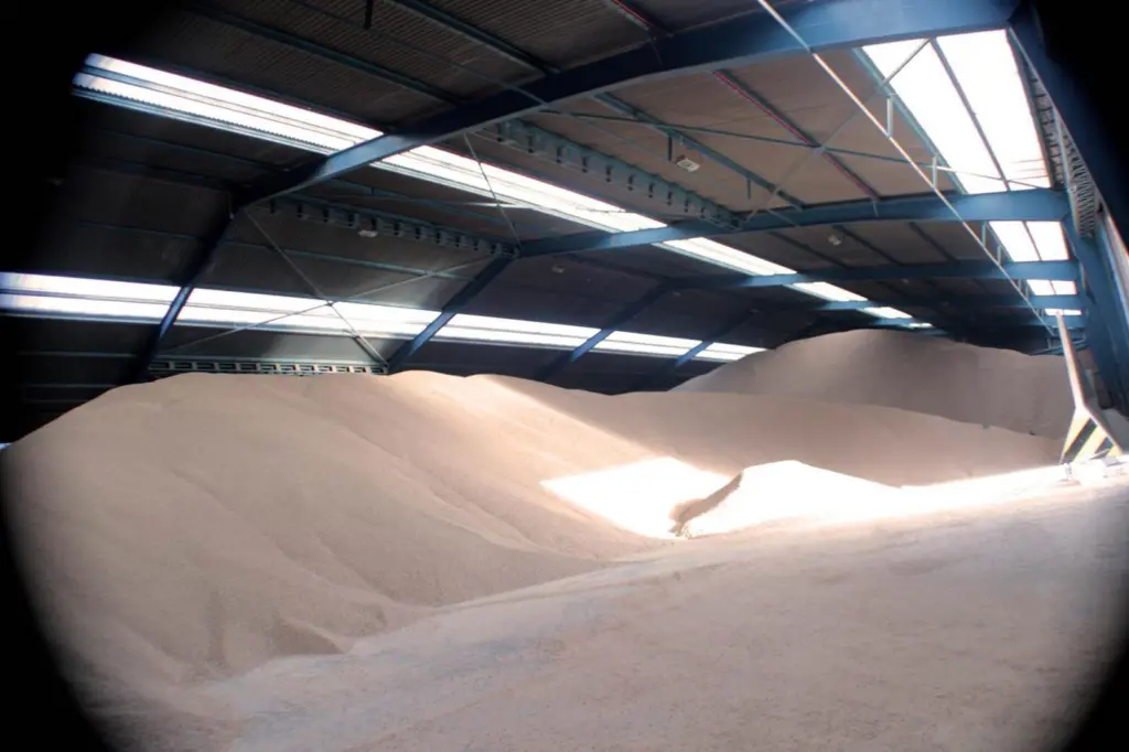 Automated biomass monitoring keeps port operating costs and unintentional reporting errors low