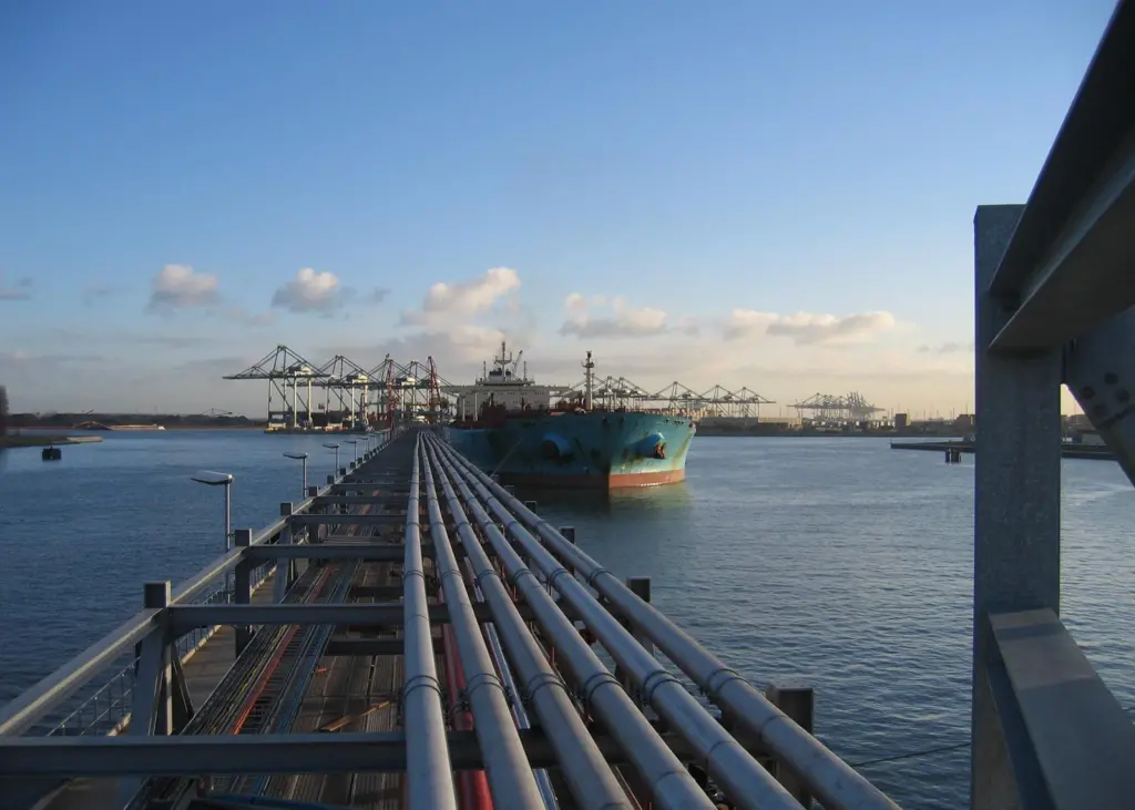 Safe hands: handling chemicals is a two-way street; staff must not contaminate cargoes. Credit: Port of Antwerp Authority