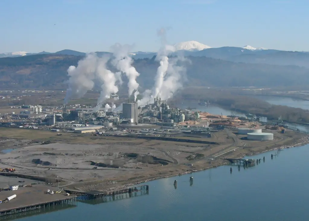 Propane proposal: Unit trains would use the Port of Longview's industrial rail corridor to enter the facility. Photo: Sam Beebe