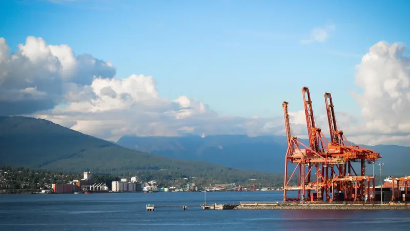 Quieter times: DP World Vancouver had to turn away some spill-over US West Coast cargo. Credit: Danielle Bauer
