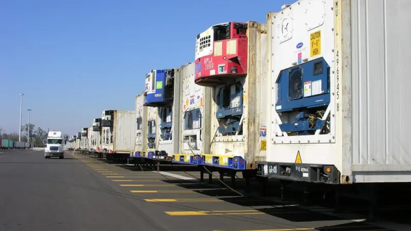 Look out: terminals need to take more care of reefer containers