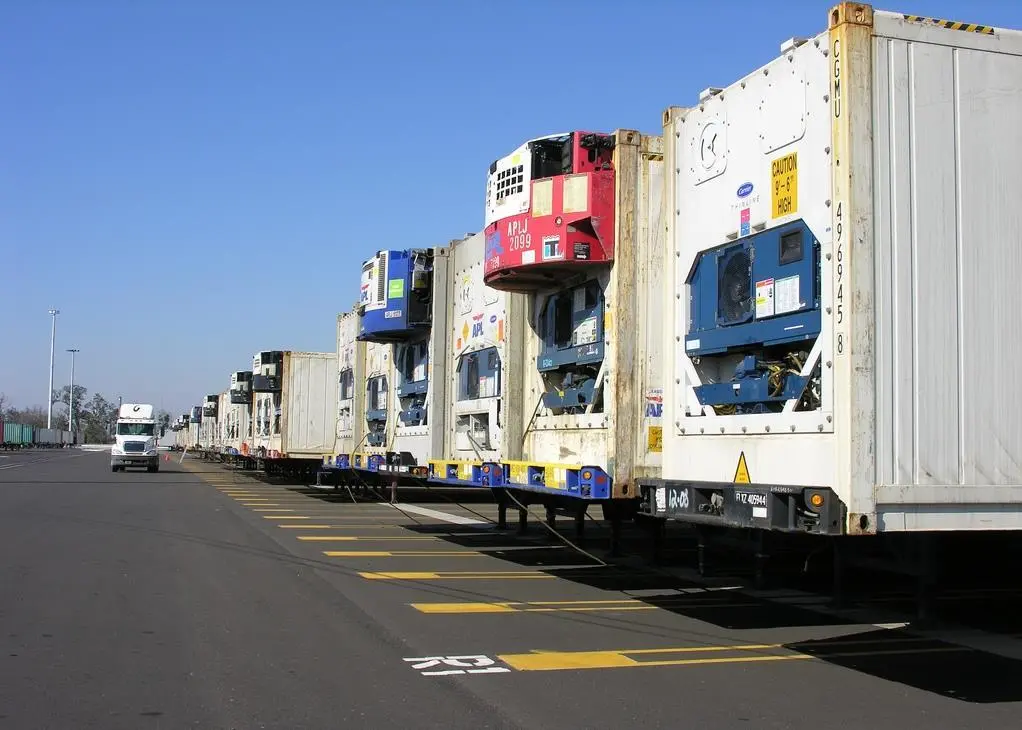 Look out: terminals need to take more care of reefer containers