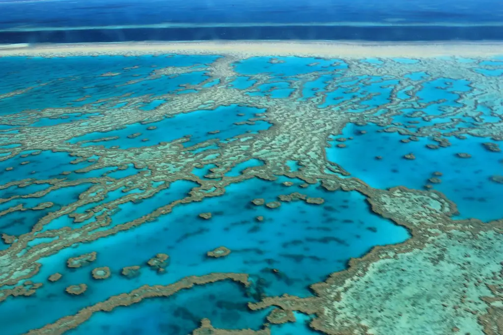 Extra care is being taken to protect the Great Barrier Reef. Photo: FarbenfroheWunderwelt