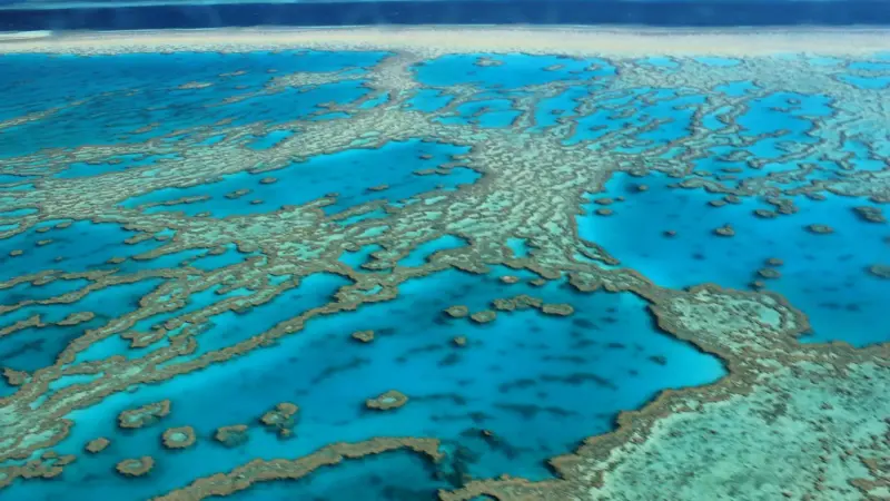 Extra care is being taken to protect the Great Barrier Reef. Photo: FarbenfroheWunderwelt