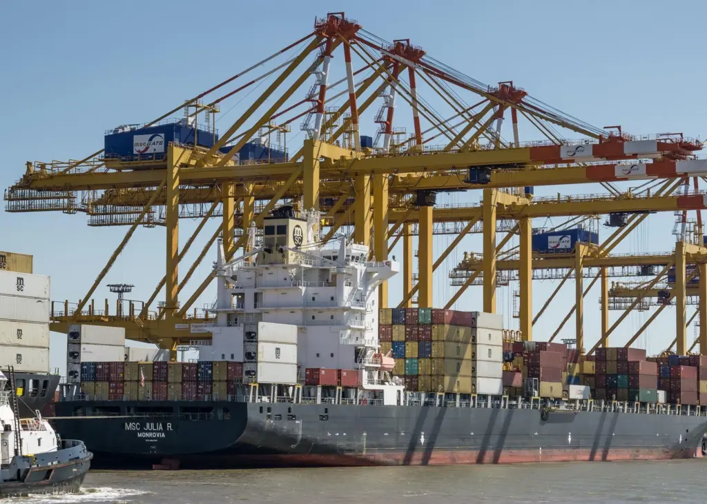 Non-conformer: TIL/MSC has not followed the predicted disposal route. Credit: Rainer.n.foto