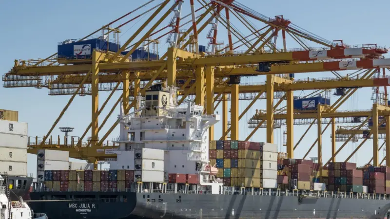 Non-conformer: TIL/MSC has not followed the predicted disposal route. Credit: Rainer.n.foto