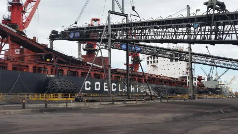 Growth: Nectar's team have set records at its Beira terminal
