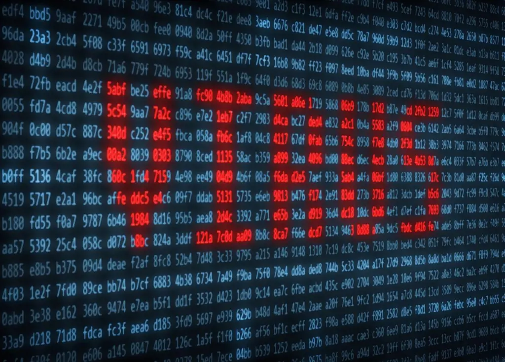CYBER THREAT: The threat of cybersecurity looks set to rise in the future and port operators will become a likely target for attacks Photo: Yuri Samoilov