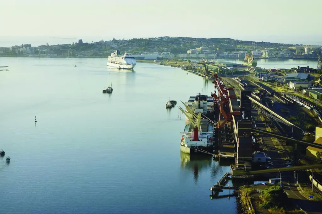 Hands-off: Newcastle was privatised without appropriate access or pricing controls.Credit: NSW Government