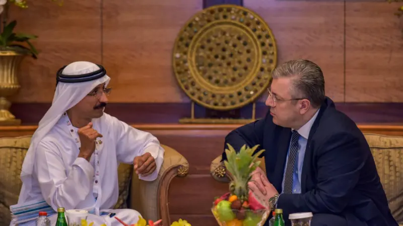 DP World advising on seamless trade development; sending research team to Georgia