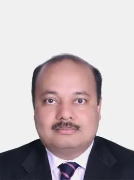 "The only way to overcome the problem of the bottleneck is offshore transhipment," Sanjeev Mathur, Bedeschi