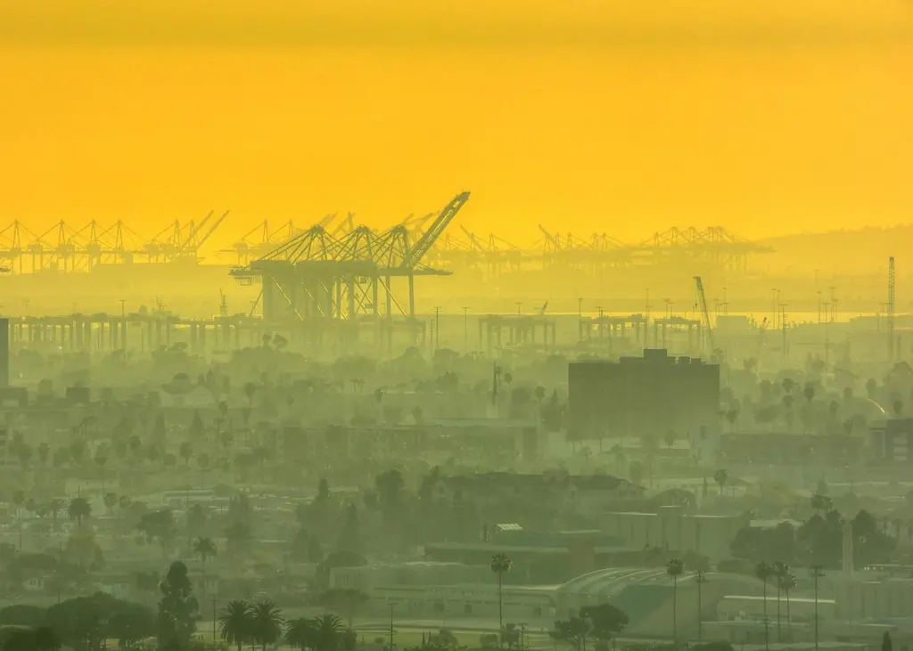 Being the Green Port is in the Port of Long Beach's DNA, says Commissioner Lori Ann Guzman. Credit: tdlucas5000