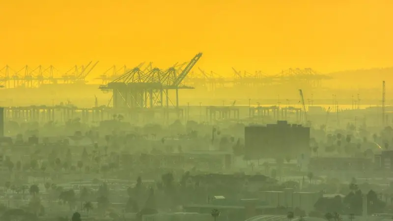 Being the Green Port is in the Port of Long Beach's DNA, says Commissioner Lori Ann Guzman. Credit: tdlucas5000
