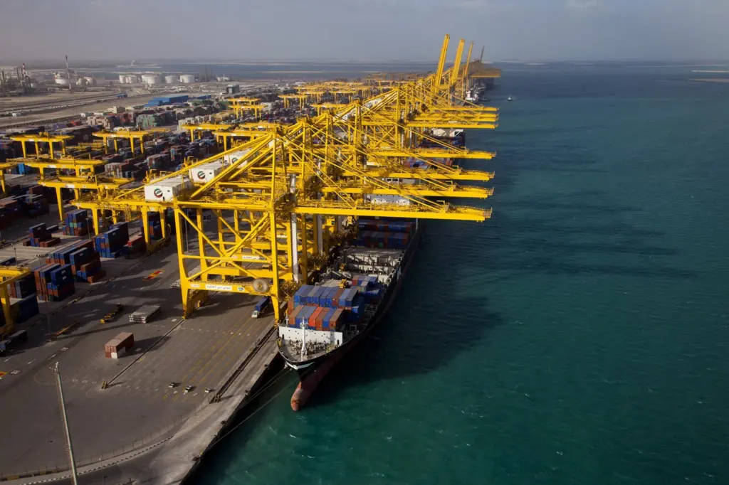 Softer market prompts construction delay. Credit: DP World