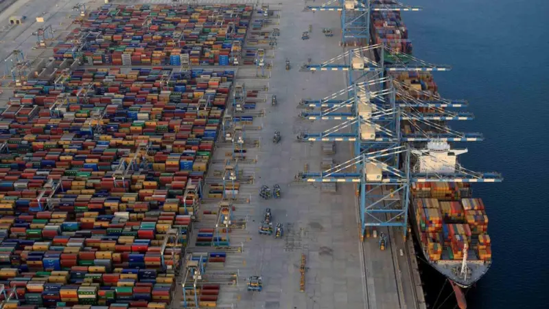 Ripe for expansion: China sees Khalifa Port as a strategic hub