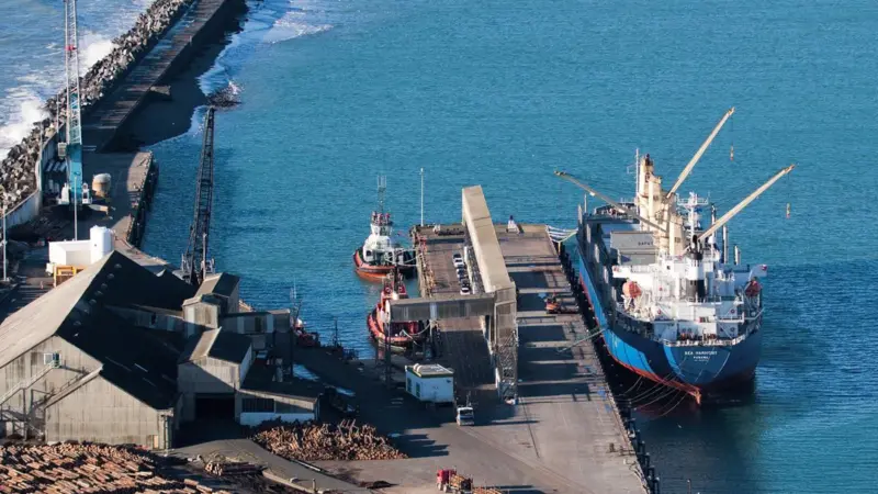 Port Taranaki achieved a record year’s log trade. Credit: Dave Young