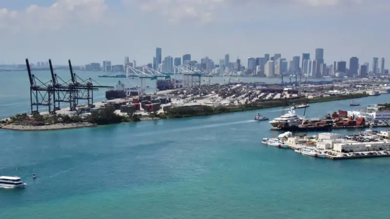 Weak links: co-operation among stakeholders has been less than perfect at Miami. Credit: Emilio Labrador