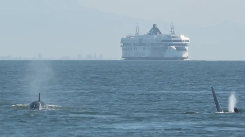 The Vancouver Fraser Port Authority tries to balance operational needs of the port with its desire to limit noise impactsPhoto: Joan Lopez