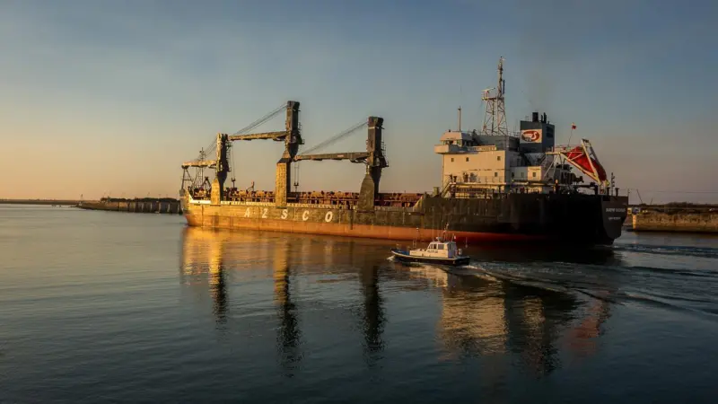Towline: member states can decide whether they want the regulations to apply to pilotage. Credit: Gadjo Niglo